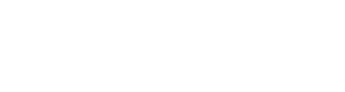 Level10CFO_logo_WT